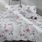 574411814 1138911608428862 2680103918184984900 n